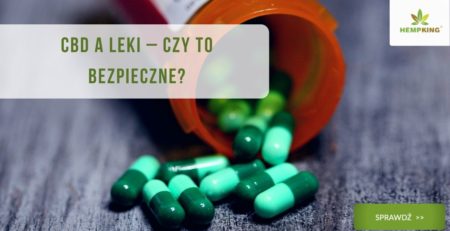 CBD a leki – czy to bezpieczne?