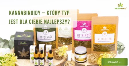 Jak wybrać kannabinoidy