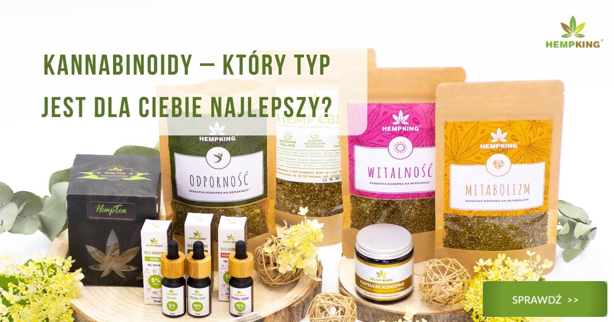 Jak wybrać kannabinoidy