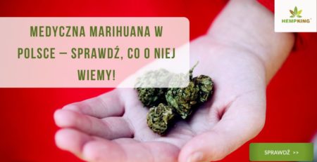 medyczna marichuana w polsce