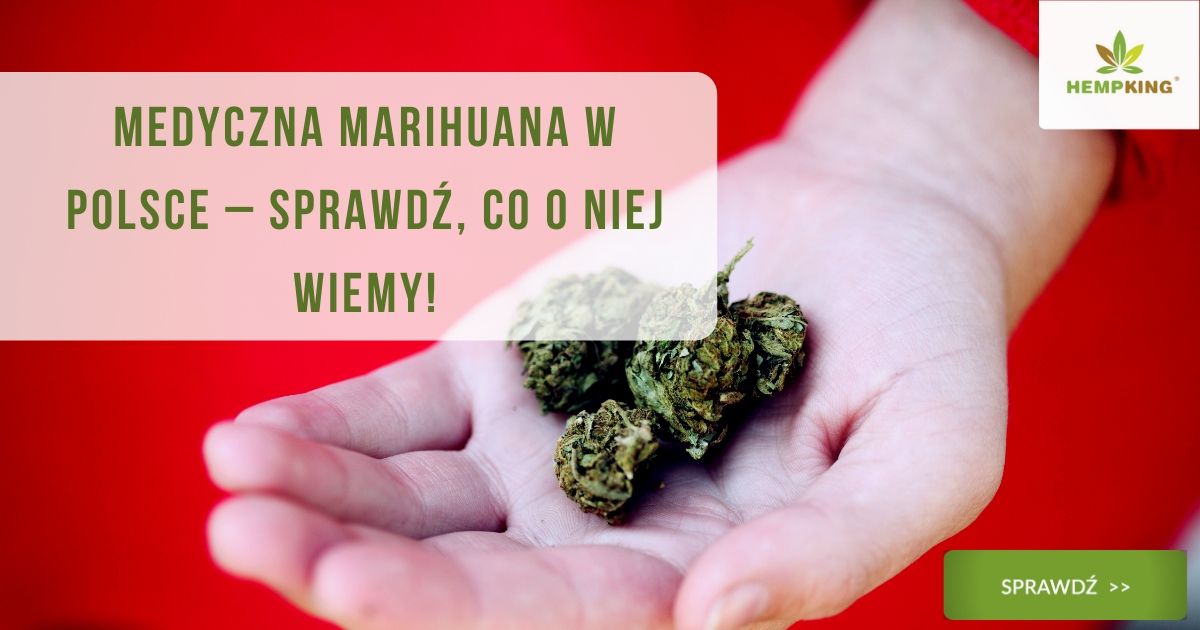 medyczna marichuana w polsce