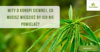 mity o konpi siewnej