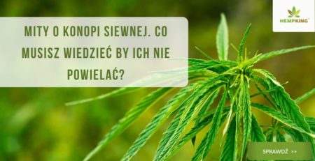 mity o konpi siewnej