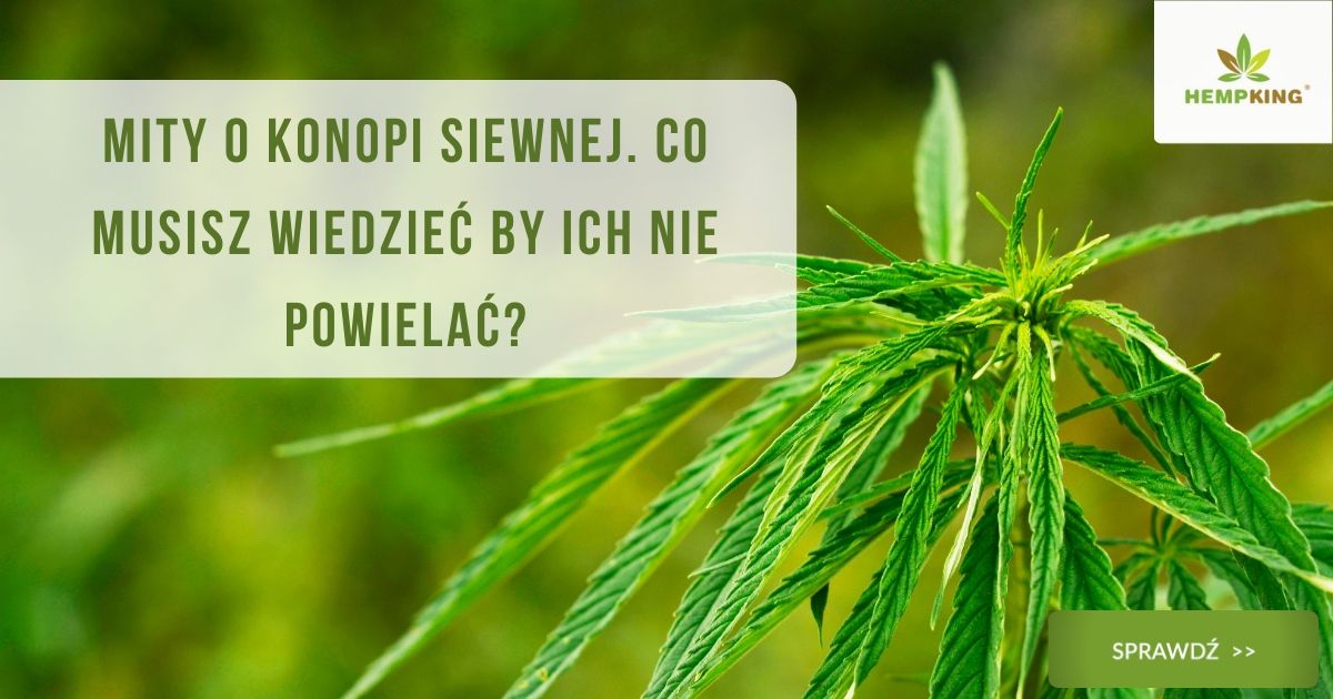 mity o konpi siewnej