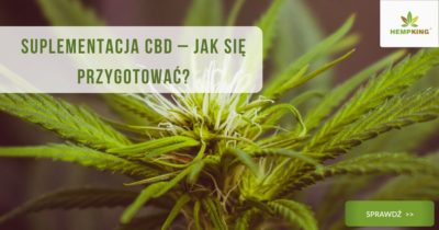 Suplementacja CBD – jak się przygotować?