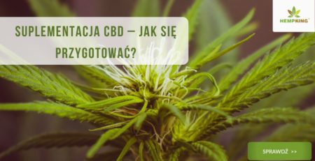 Suplementacja CBD – jak się przygotować?