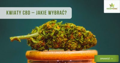 jak wybrać kwiaty cbd