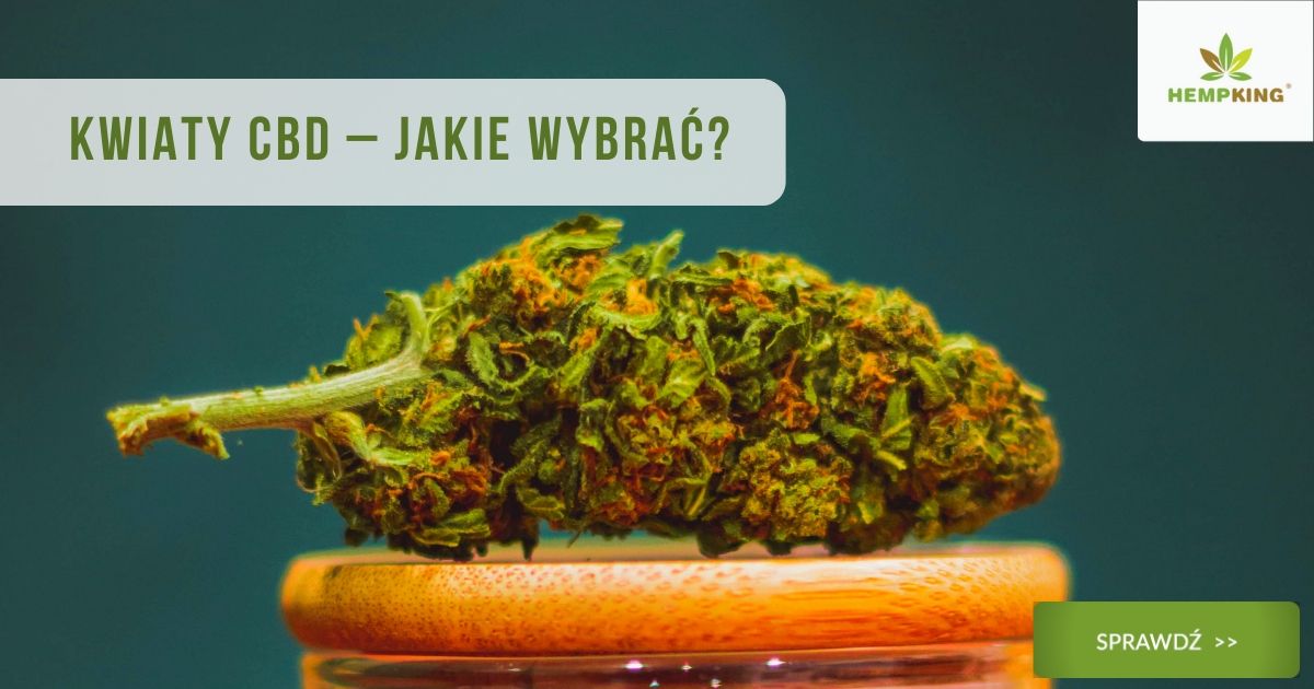 jak wybrać kwiaty cbd