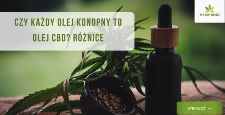 Czy każdy olej konopny to olej CBD? Różnice
