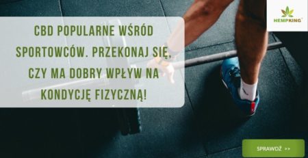 CBD i sport. CBD popularne wśród sportowców. Przekonaj się, czy ma dobry wpływ na kondycję fizyczną!