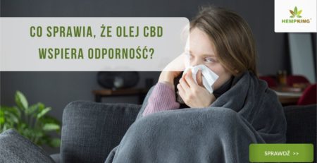 CBD i odporność. Co sprawia, że olej CBD wspiera odporność_