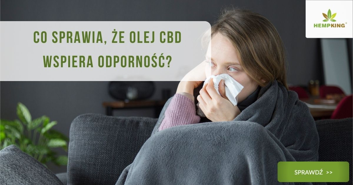 CBD i odporność. Co sprawia, że olej CBD wspiera odporność_