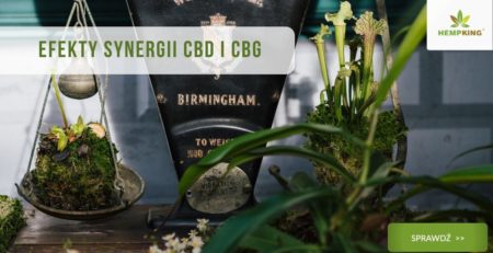 Efekty synergii CBD i CBG