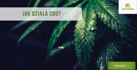 Jak działa cbd?