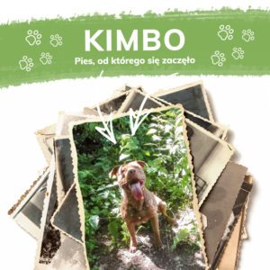 Kimbo historia Hempking