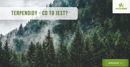 terpenoidy co to jest