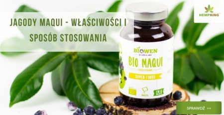 właściwości jagód maqui