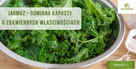 właściwości bio jarmużu