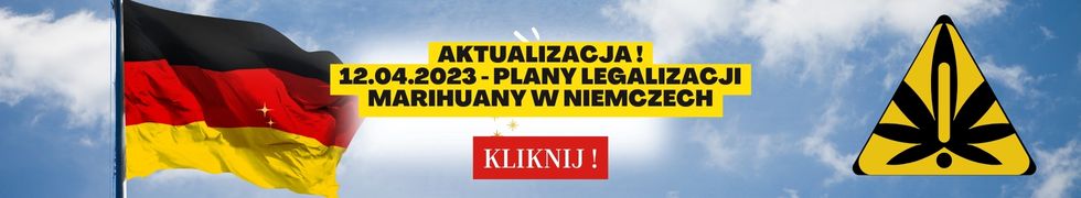 12.04.2023 - marihuana w niemczech aktualizacja