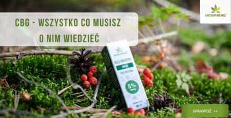 cbg 5% hempking w otoczeniu zieleni