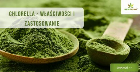 chlorella właściwości i zastosowanie obrazek wyróżniający