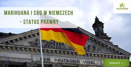 status prawny cbd i thc w niemczech - obrazek wyróżniający