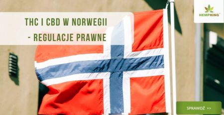 thc i cbd w norwegii prawo