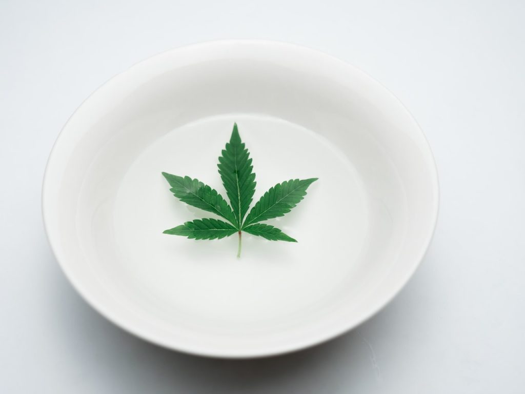 thc zakazane w norwegii