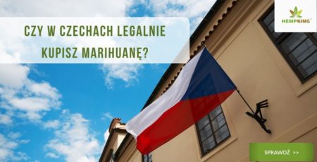 czy marihuana jest legalna w czechach
