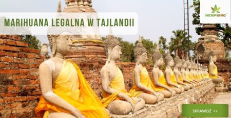 tajlandia i thc