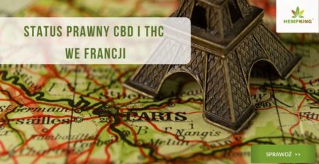 CBD i THC we Francji