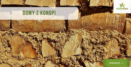 beton konopny i domy z konopi