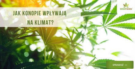 konopie i klimat
