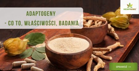 adaptogeny - czym są? jakie mają właściwości