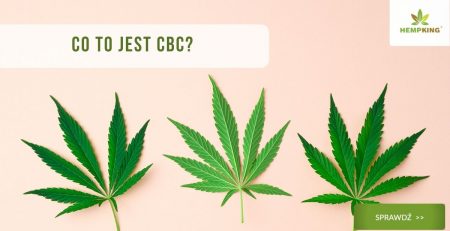 CBC co to