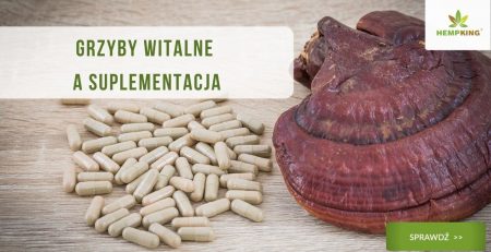 Grzyby witalne a suplementacja