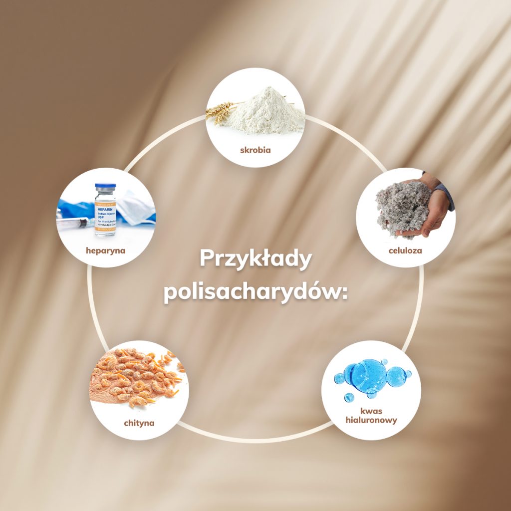 polisacharydy