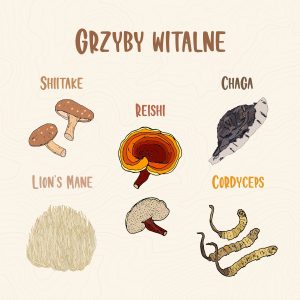 lecznicze grzyby