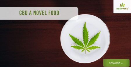 novel food a cbd