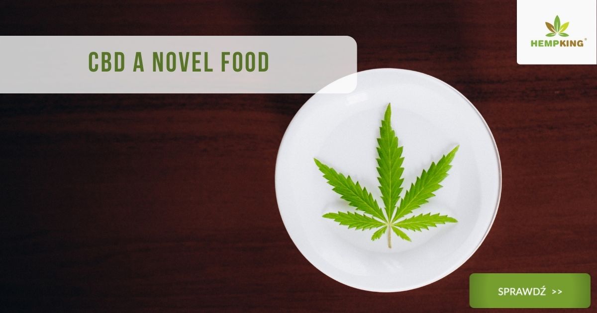 novel food a cbd