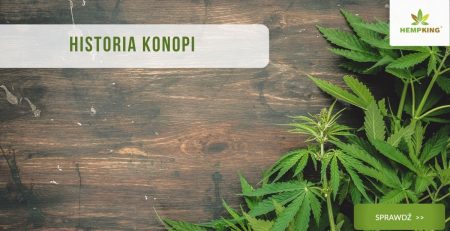historia konopi