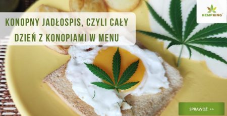 konopne przepisy na cały dzień