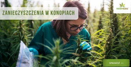 Zanieczyszczenia w konopiach