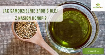 przepis na olej z konopi