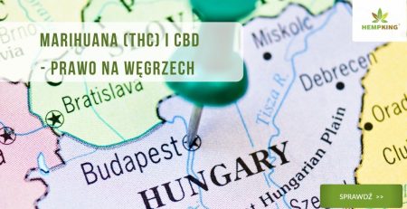 Marihuana (THC) i CBD - prawo na Węgrzech