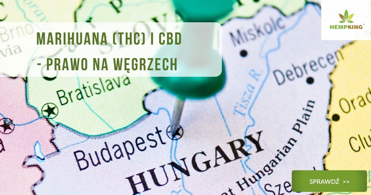 Marihuana (THC) i CBD - prawo na Węgrzech