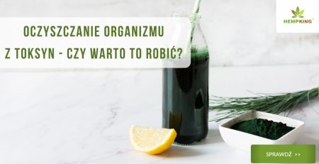Oczyszczanie organizmu z toksyn - czy warto to robić