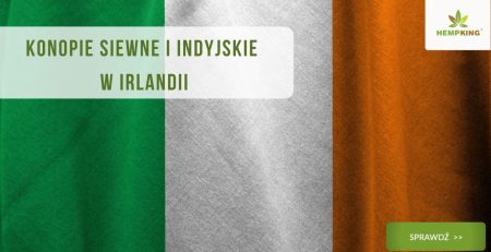 Konopie siewne i indyjskie w Irlandii (THC i CBD w Irlandii)