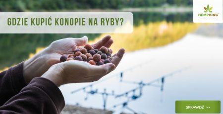 konopie na ryby