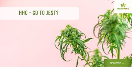 HHC - co to jest